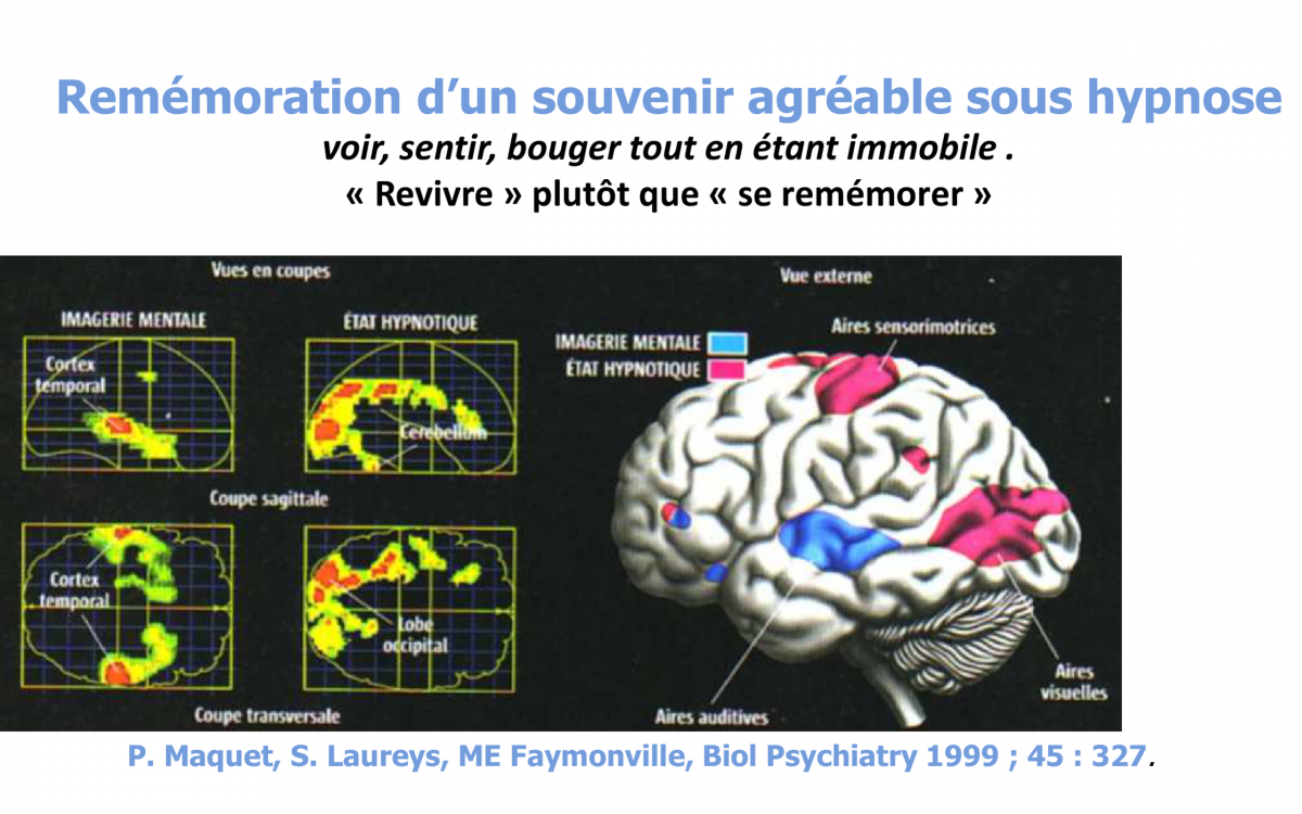 Hypnose Mythes Et Verites Hypnovidence Hypnose Mythes Et Verites Hypnovidence